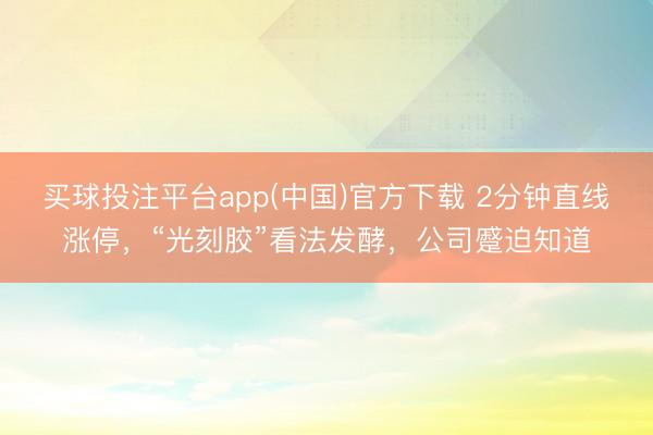 买球投注平台app(中国)官方下载 2分钟直线涨停，“光刻胶”看法发酵，公司蹙迫知道