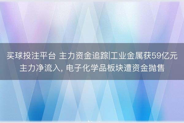 买球投注平台 主力资金追踪|工业金属获59亿元主力净流入， 电子化学品板块遭资金抛售
