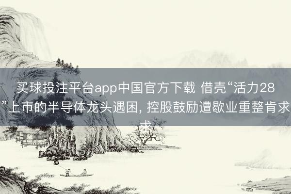 买球投注平台app中国官方下载 借壳“活力28”上市的半导体龙头遇困， 控股鼓励遭歇业重整肯求