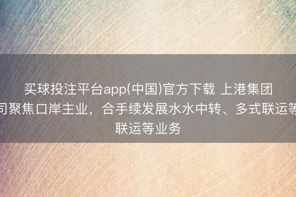 买球投注平台app(中国)官方下载 上港集团：公司聚焦口岸主业，合手续发展水水中转、多式联运等业务
