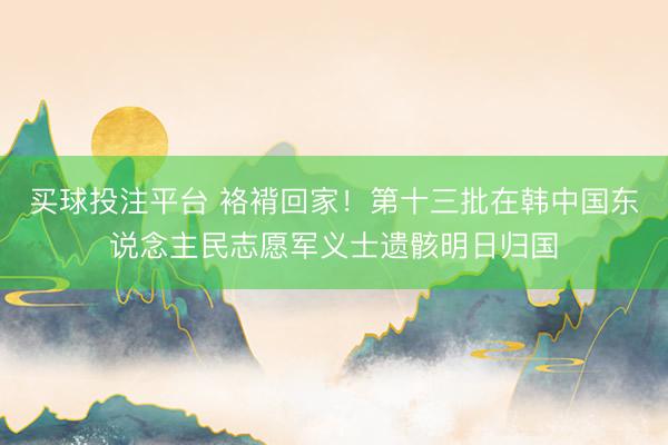 买球投注平台 袼褙回家！第十三批在韩中国东说念主民志愿军义士遗骸明日归国