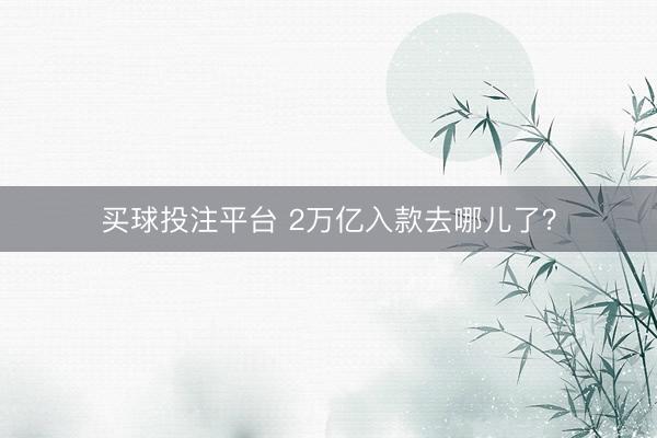 买球投注平台 2万亿入款去哪儿了？