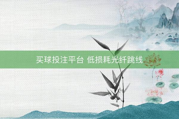 买球投注平台 低损耗光纤跳线
