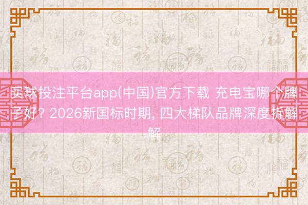 买球投注平台app(中国)官方下载 充电宝哪个牌子好? 2026新国标时期， 四大梯队品牌深度拆解